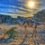 Private Moon Valley Hike Experience in Jeddah - Exploring Moon Valley: The Itinerary in Depth