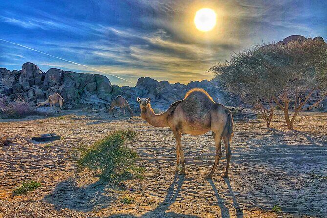 Private Moon Valley Hike Experience in Jeddah - Exploring Moon Valley: The Itinerary in Depth