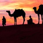 Private Morning Desert Safari - In-Depth Look at the Itinerary