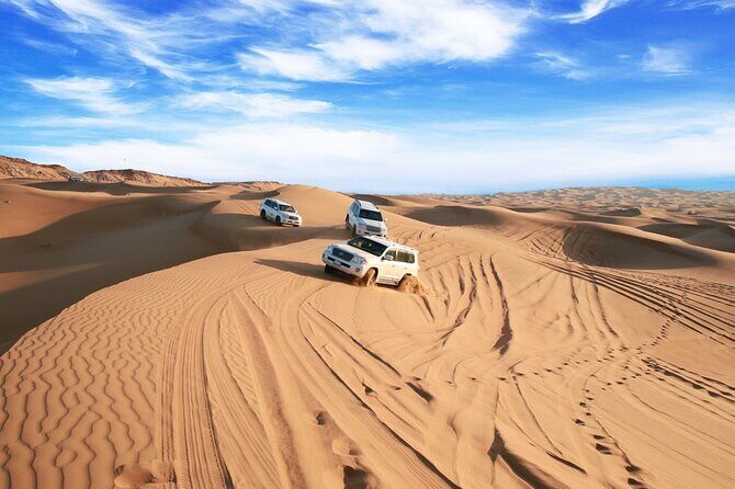 Private Morning Desert Safari From Dubai - What Travelers Love and Appreciate