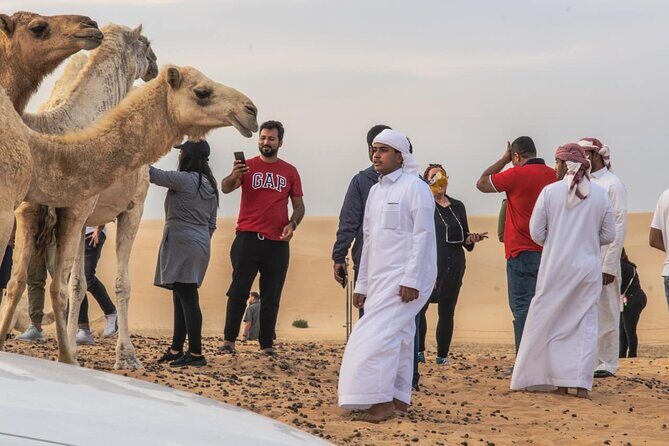 Private Morning Desert Safari with Quad Bike Tours Jeddah - Who Will Love This Tour?