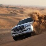 Private Morning Red Dune Desert Safari with Camel Ride - Why Choose This Tour?
