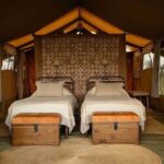 Private Multi day Safari tour in Tanzania - Who Would Love This Tour?