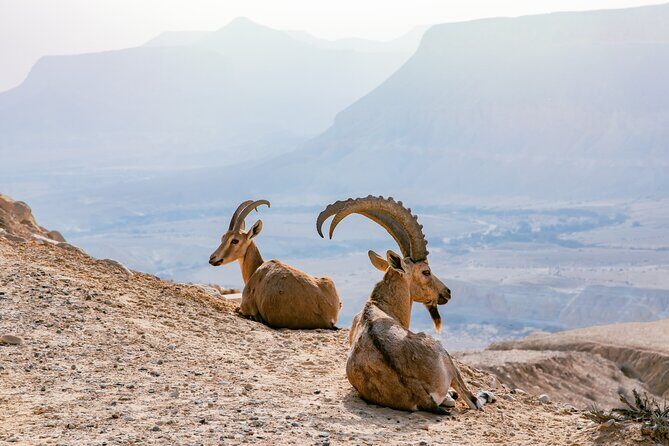 Private Muscat tour to the Grand Canyon Nizwa - Whats Included and What to Expect
