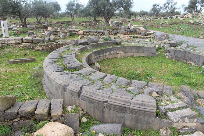 Private North Tour to Jerash, Ajloun, and Umm Qais from Amman - Why This Tour Works Well