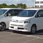 Private One-Way Transfer from Nairobi - Possible Drawbacks or Considerations