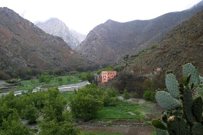 Private Ourika valley and Atlas Mountains day trip from Marrakech - Final Thoughts
