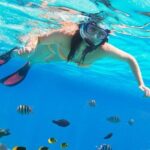 private over day tour From Luxor to Hurghada - Final Thoughts: Who Is This Tour Best Suited For?