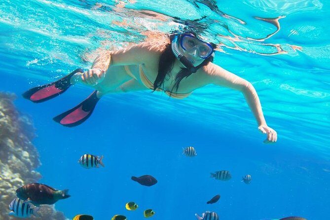 private over day tour From Luxor to Hurghada - Final Thoughts: Who Is This Tour Best Suited For?