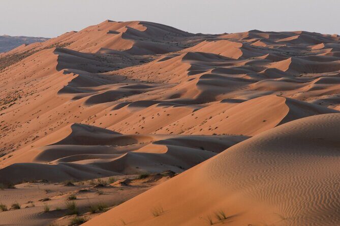 Private Overnight camping to Wahiba Sands Desert - Why This Tour Offers Great Value
