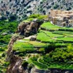 Private Overnight Nizwa & Jebel Akhdar Tour from Muscat - Why Travelers Rave About This Tour