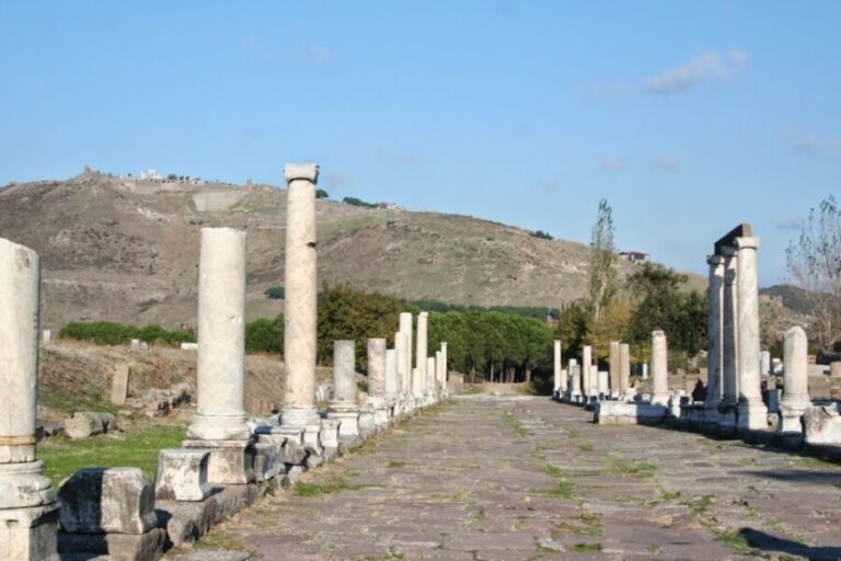 Private Pergamon Day Tour from Istanbul by Plane - Who Would Love This Tour?