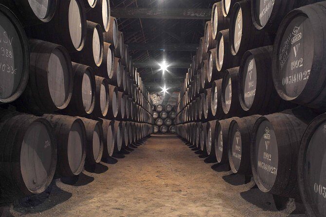 Private Porto Tour from Lisbon - The Wine Capital of Portugal - What Sets This Tour Apart?
