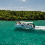 Private Power Catamaran trip from Pointe Jerome - Pricing and Overall Value