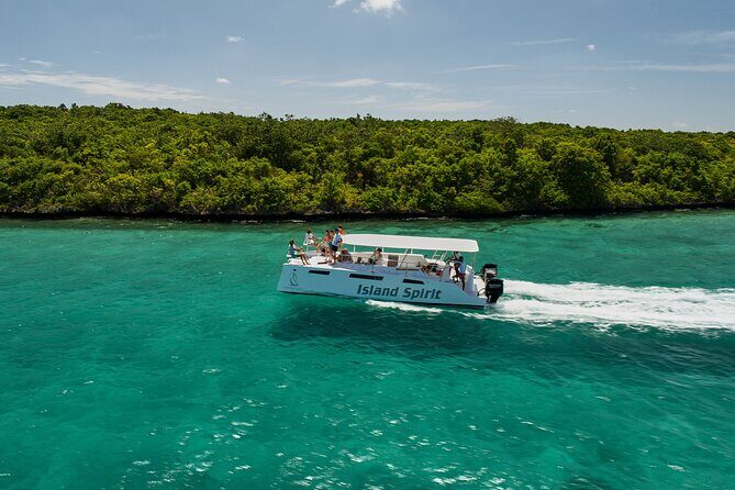 Private Power Catamaran trip from Pointe Jerome - Pricing and Overall Value