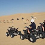 Private Quad Bike Tour through Deep Desert in Dubai - Introduction: Why a Private ATV Ride in Dubai’s Desert Is a Must