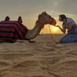 Private Red Dunes Desert Safari , BBQ Dinner and Camel ride - Who Is This Tour Best For?