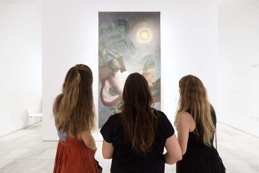 Private Reina Sofía Tour with Pickup & Drinks on a Terrace - Who Will Enjoy This Tour?