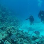 Private sea trip Hurghada - Who is this tour best suited for?