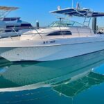 Private Small-Group Dubai Marina Boat Tour - The Itinerary: What You Can Expect