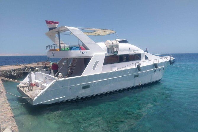 Private Snorkeling Boat Trip To Dolphin House From Hurghada - Key Points