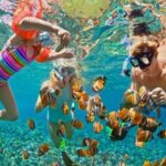 Private Snorkeling day Trip with Paradise Island or Orange Bay - Practical Tips for Your Trip