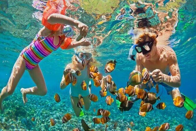 Private Snorkeling day Trip with Paradise Island or Orange Bay - Practical Tips for Your Trip