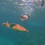 Private Snorkeling with turtles with BBQ food - Who Will Love This Tour?
