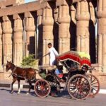 Private Sound and Light Show and Luxor City Tour by Carriage (3 * 1) - Why This Tour Works Well
