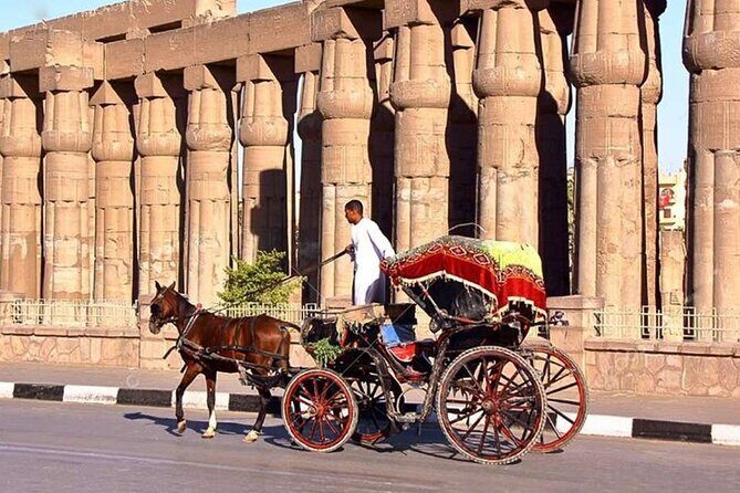 Private Sound and Light Show and Luxor City Tour by Carriage (3 * 1) - Why This Tour Works Well