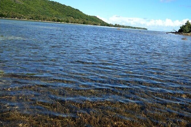 Private southwest of Mauritius: Barbecue Lunch at Îlot Fourneau - A Deep Dive into the Itinerary