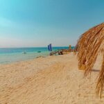 Private Speed Boat 4Hours Snorkel from Hugarda to Magawish Island - What the Reviews Reveal