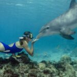 Private Speed Boat Snorkeling with Dolphins Trip - Hurghada - Detailed Breakdown of the Experience