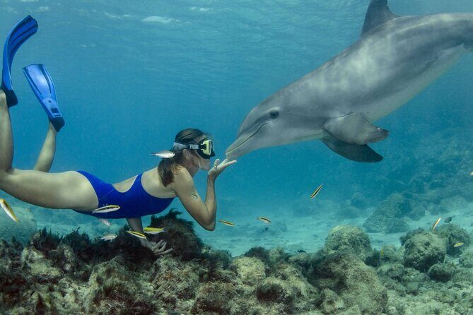 Private Speed Boat Snorkeling with Dolphins Trip - Hurghada - Detailed Breakdown of the Experience