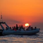 Private Speed Boat & Swim With Dolphins & Water Sports-hurghada - FAQs