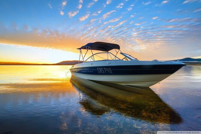 Private Speed Boat Tour and Dolphin Encounter at Ile aux Benitier - Who Is This Tour Best For?