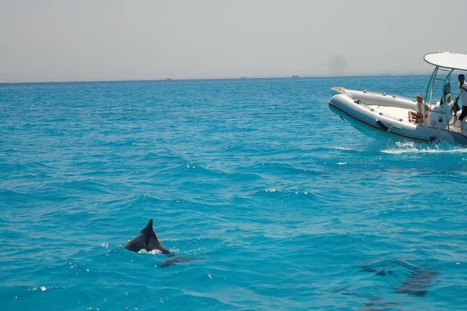 Private Speed Boat Trip In Hurghada - Who Will Love This Tour?