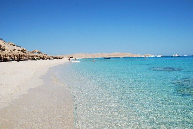 Private Speedboat To Dolphin House & Magawish Island _ Hurghada - Final Thoughts: Who Is This Tour Best For?
