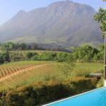 Private Stellenbosch, Franschhoek and Paarl Wine Tour - What Makes This Tour Stand Out?