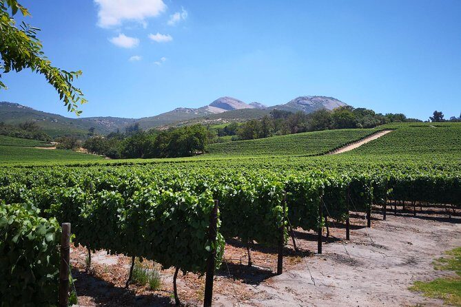 Private Stellenbosch, Franschhoek Paarl Wine Tour from Cape Town - What’s Included & What’s Not?