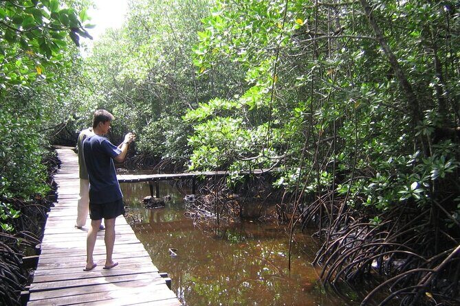 Private Stone Town & Spice Farm Tour - Practical Considerations