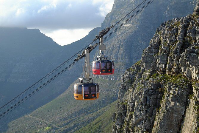Private Table Mountain, Kirstenbosch and Constantia Wine Tasting. - Who Is This Tour Best Suited For?