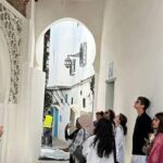 Private Tangier Day Trip from Tarifa with Ferry and Camel Ride - Who Is This Tour Best For?