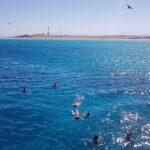 PRIVATE TOUR ! 4-Hours Swiming with dolphins, snorkeling, island by speed boat - Practical Details to Keep in Mind