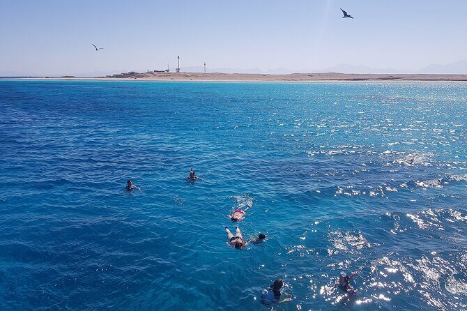 PRIVATE TOUR ! 4-Hours Swiming with dolphins, snorkeling, island by speed boat - Practical Details to Keep in Mind