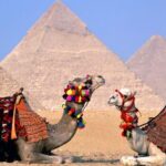 Private Tour: 8 Days 7 Nights Great Pyramids & Nile Cruise by Train from Cairo - Who Will Love This Tour?