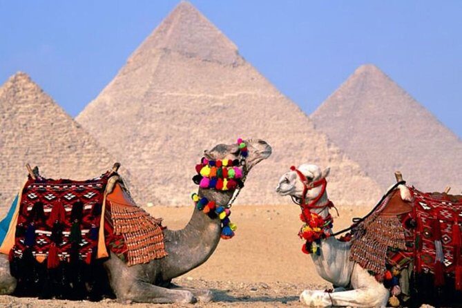 Private Tour: 8 Days 7 Nights Great Pyramids & Nile Cruise by Train from Cairo - Who Will Love This Tour?