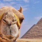Private Tour at Giza Pyramids & Sphinx - What’s Included and What’s Not