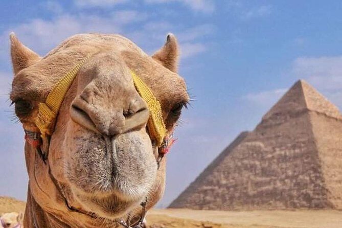 Private Tour at Giza Pyramids & Sphinx - What’s Included and What’s Not