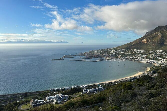 Private Tour Cape of Good Hope with Penguins - What Makes This Tour Stand Out?